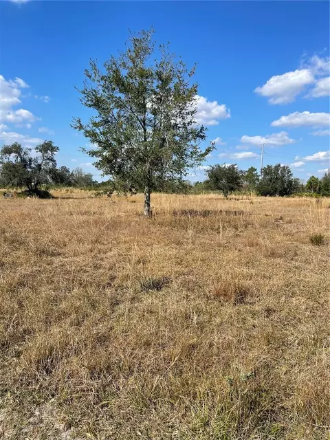 Hammermill Avenue, Lake Wales, FL 33859