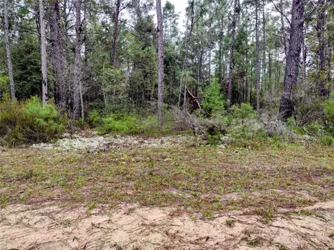 165 7th Way, Interlachen, FL 32148