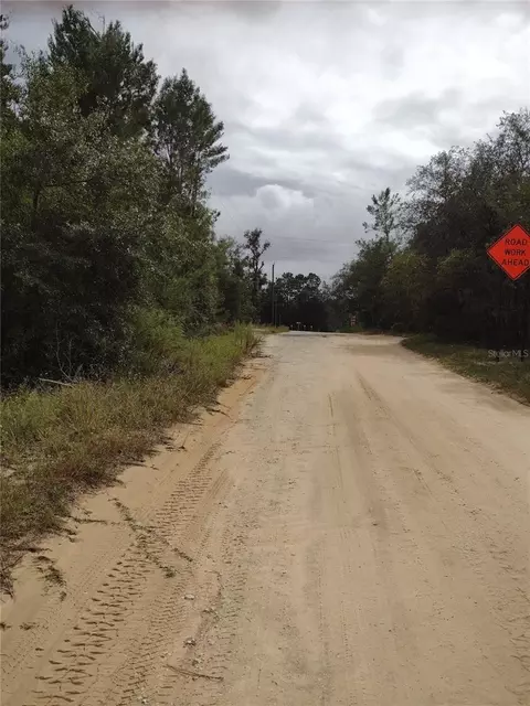 165 7th Way, Interlachen, FL 32148 photo 2