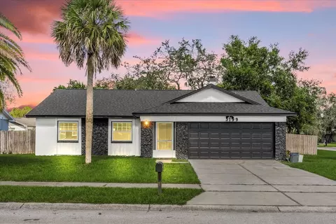 3199 Tobago Ct, Apopka, FL 32703