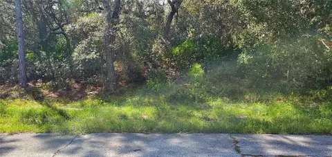 Marlin Drive, Poinciana, FL 34759