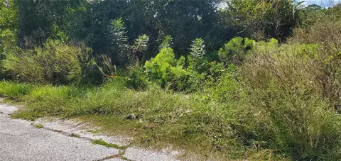 Sebring Court, Poinciana, FL 34759