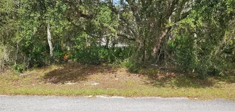 1227 Alafia Way, Kissimmee, FL 34759
