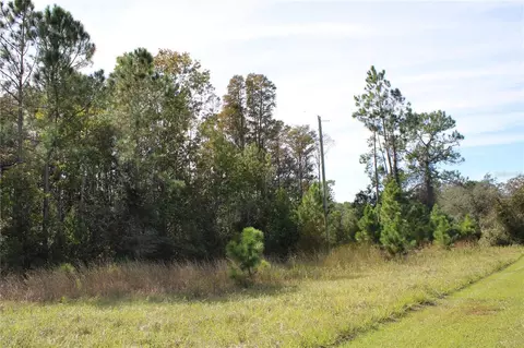 Duboise Drive, Clermont, FL 34711 photo 9