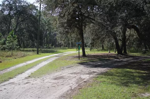Duboise Drive, Clermont, FL 34711 photo 10