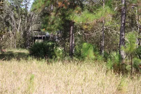 Duboise Drive, Clermont, FL 34711 photo 15