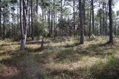 Duboise Drive, Clermont, FL 34711 photo 18