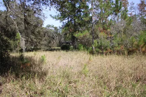 Duboise Drive, Clermont, FL 34711 photo 8