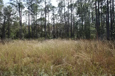 Duboise Drive, Clermont, FL 34711 photo 11