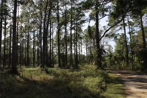 Duboise Drive, Clermont, FL 34711 photo 14