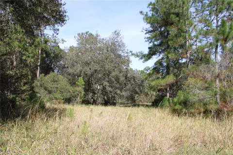 Duboise Drive, Clermont, FL 34711
