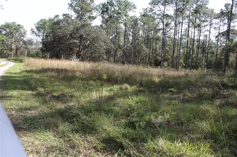 Duboise Drive, Clermont, FL 34711 photo 13