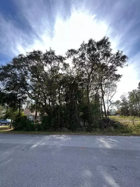 Bahia Terrace, Ocala, FL 34472