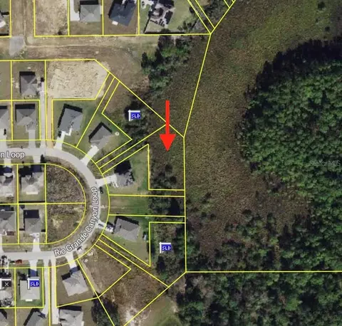 2159 Rio Grande Canyon Loop, Poinciana, FL 34759