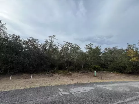 1633 Pickerel Ct, Kissimmee, FL 34759