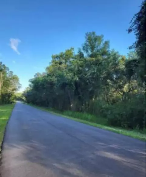 33340 Tombstone St, Webster, FL 33597