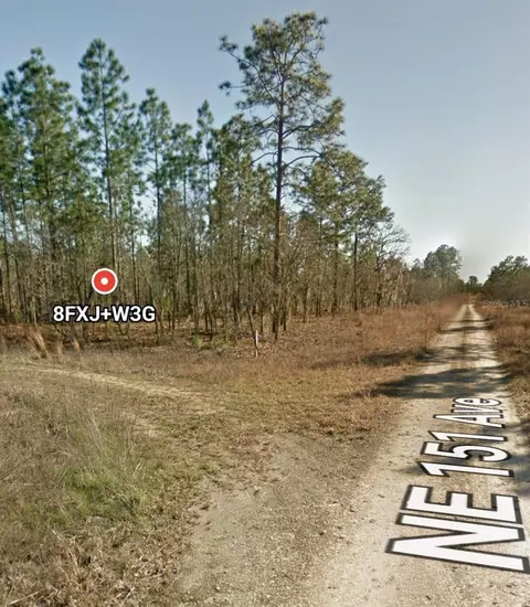 tbd NE 12 St, Williston, FL 32696 photo 4