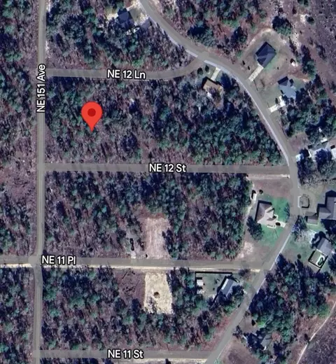 tbd NE 12 St, Williston, FL 32696