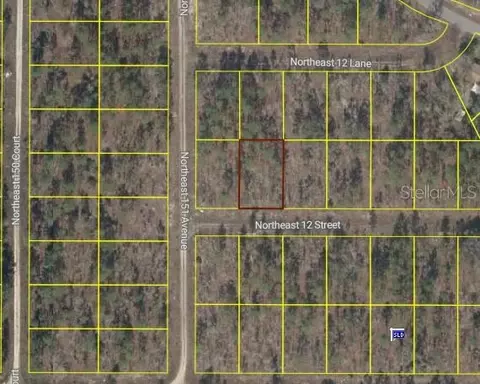 tbd NE 12 St, Williston, FL 32696