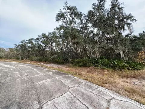 1251 Baltic Dr, Kissimmee, FL 34759