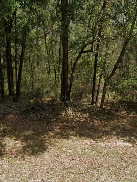 9231 N Sherman Dr, Citrus Springs, FL 34434