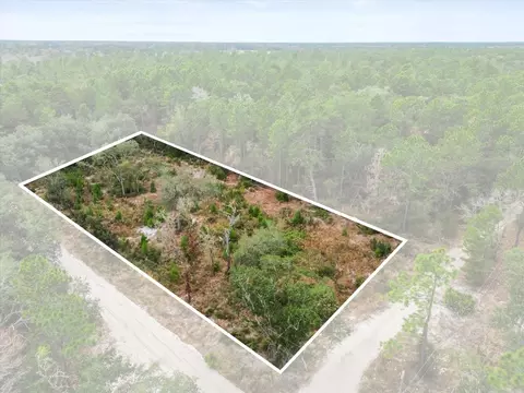 SW 158th Lane, Dunnellon, FL 34432