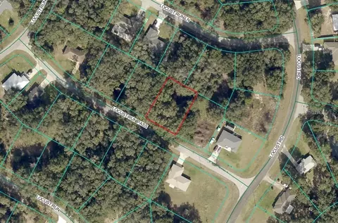 Locust Run Pass, Ocala, FL 34472 photo 2