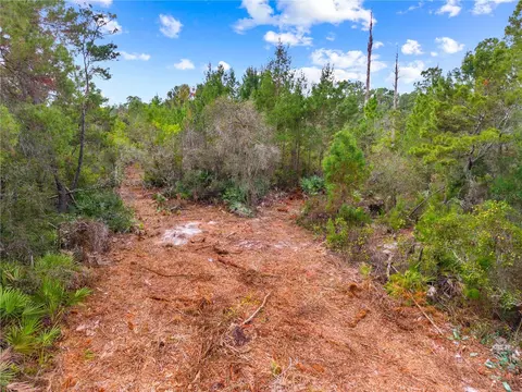 0 Dease Rd, Saint Cloud, FL 34771 photo 10