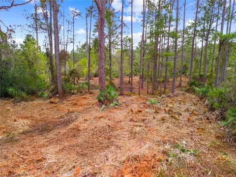 0 Dease Rd, Saint Cloud, FL 34771 photo 12