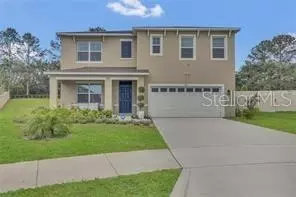 1541 Tali Ln, Mount Dora, FL 32757