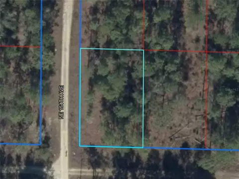 Ne 15th Ln Lot 11, Williston, FL 32696