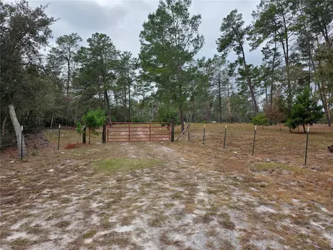 Cooter Pond Road, Deland, FL 32720