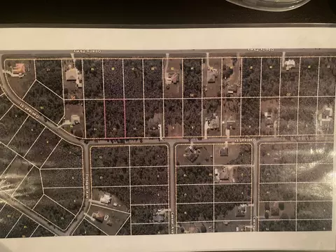 Oakleaf Street, Orlando, FL 32833