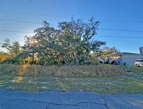 1402 Sebring Ct, Kissimmee, FL 34759