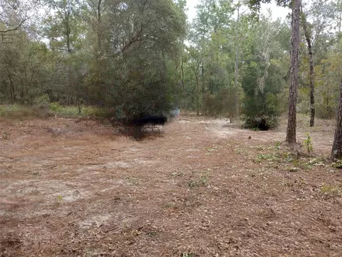 0 NE 105th Ave, Bronson, FL 32621