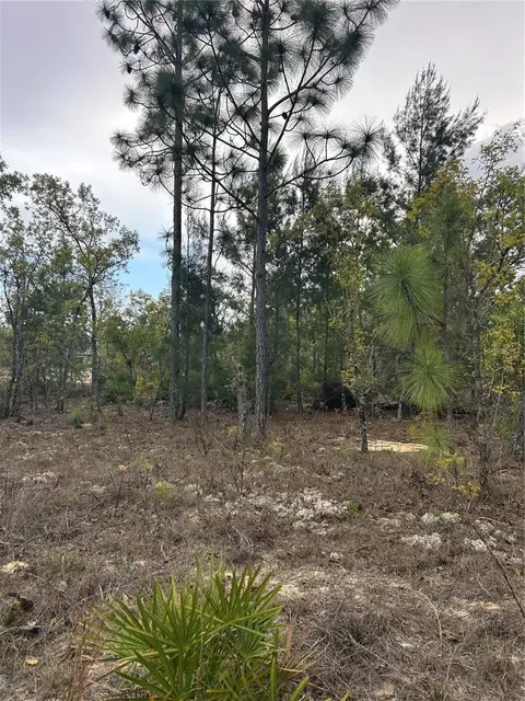 3528 W Nieman Dr, Dunnellon, FL 34433