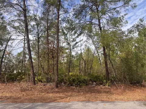 Malauka Lane Pass, Ocklawaha, FL 32179