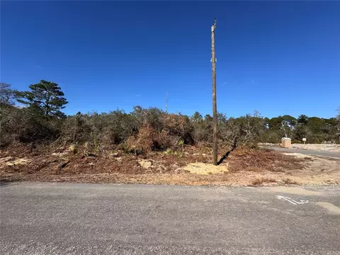 Fisher Pass, Ocklawaha, FL 32179