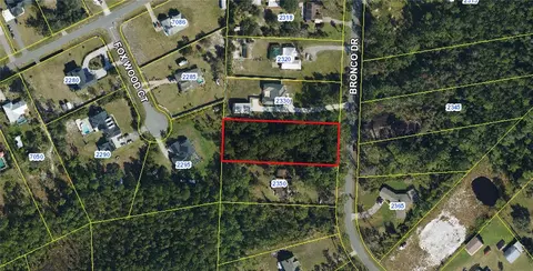 2340 Bronco Dr, Saint Cloud, FL 34771 photo 2