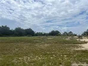 1322 Hillsborough Dr, Kissimmee, FL 34759