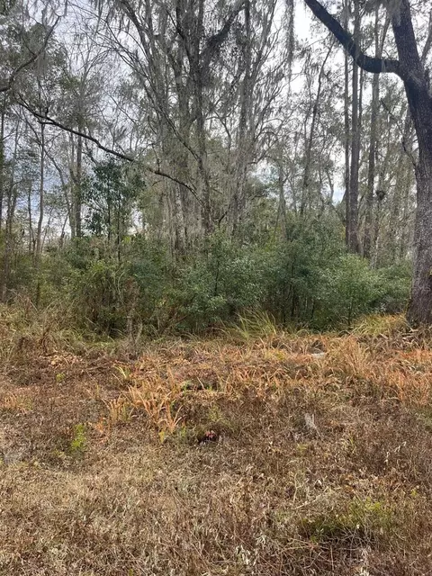 519 Ward Ave, Brooksville, FL 34601