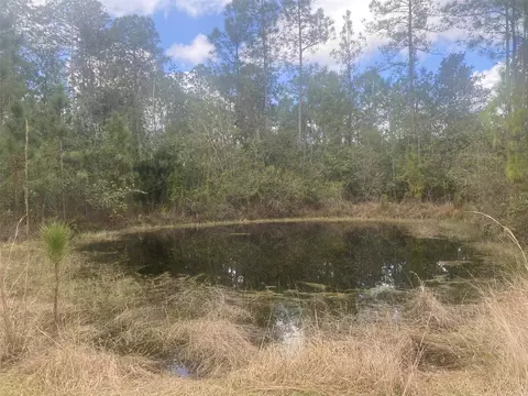 View/Area - 1720 Cassidy Dr, Saint Cloud, FL 34771 photo 2 of 2