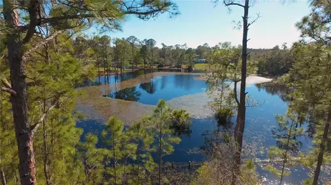 View/Area - 32325 State Road 44, Eustis, FL 32736 photo 2 of 5