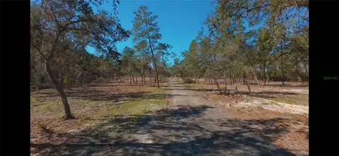 Other - 32325 State Road 44, Eustis, FL 32736 photo 10 of 12