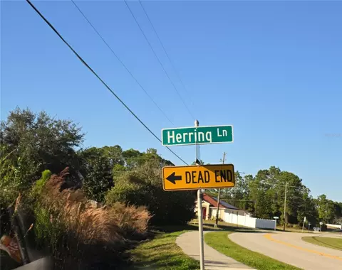 103 Herring Ln, Kissimmee, FL 34759