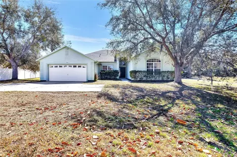 536 Kilimanjaro Dr, Kissimmee, FL 34758