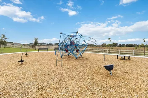 View/Area - 2763 Swooping Sparrow Dr, Saint Cloud, FL 34773 photo 16 of 16