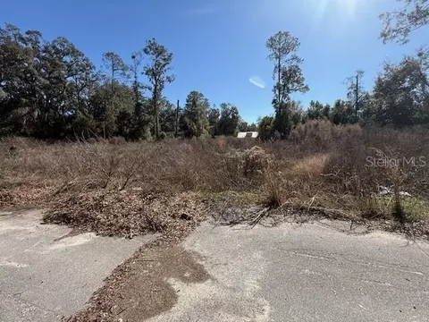 Ne Seventeenth Avenue, Trenton, FL 32693