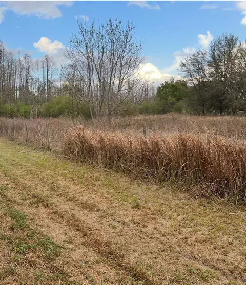Sr-33, Clermont, FL 34714 photo 5
