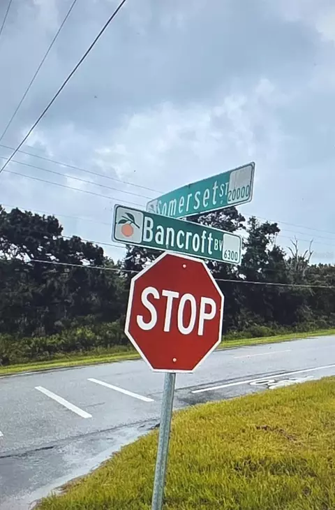 Somerset Street, Orlando, FL 32833